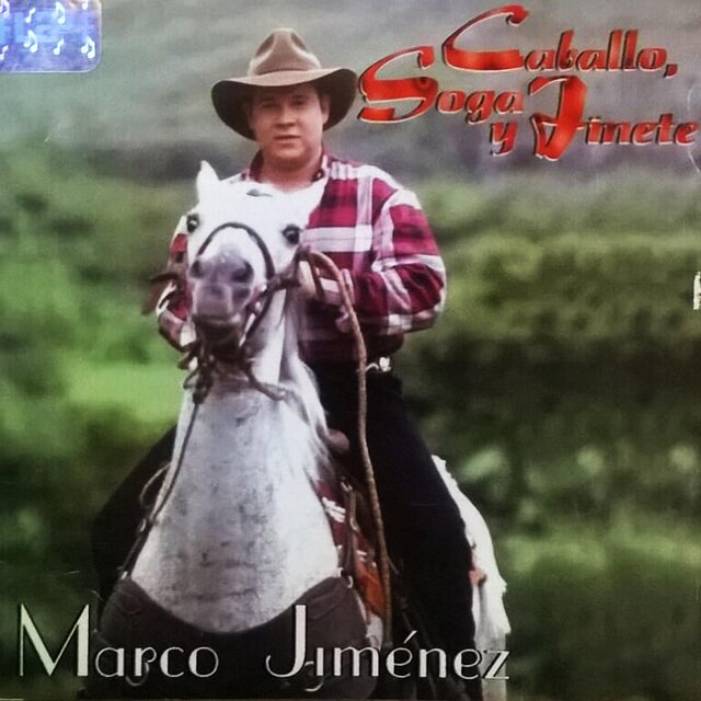 CABALLO SOGA Y JINETE