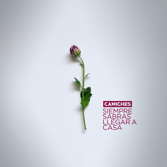 Siempre Sabrás Llegar a Casa