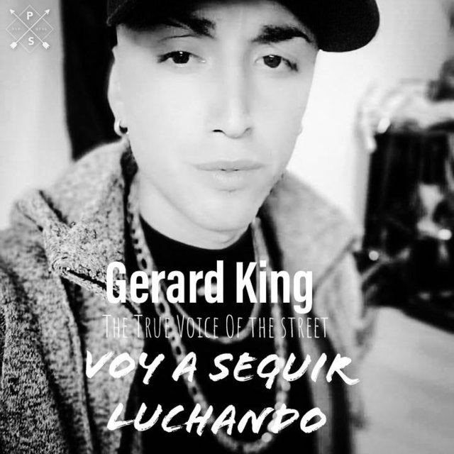 Voy a Seguir Luchando