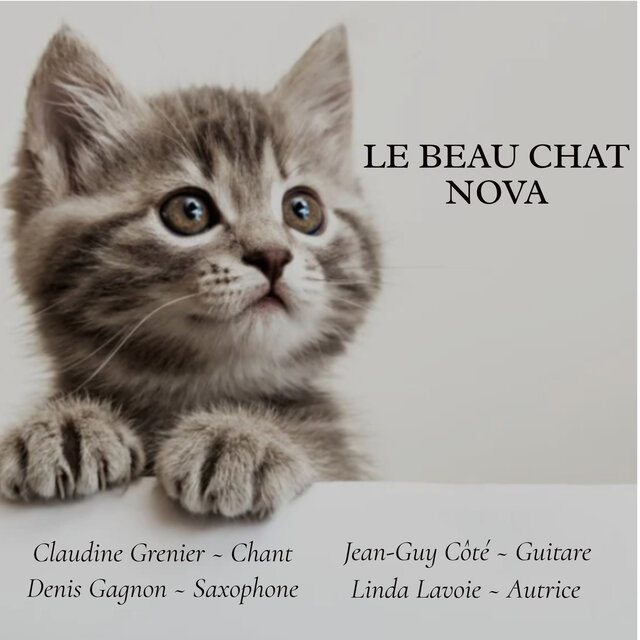 Le Beau Chat Nova
