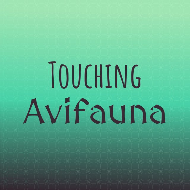 Touching Avifauna