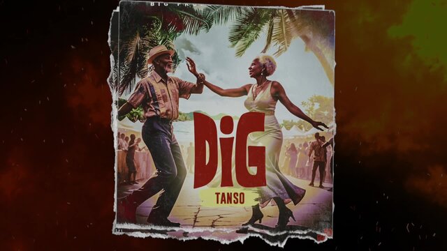 Dig