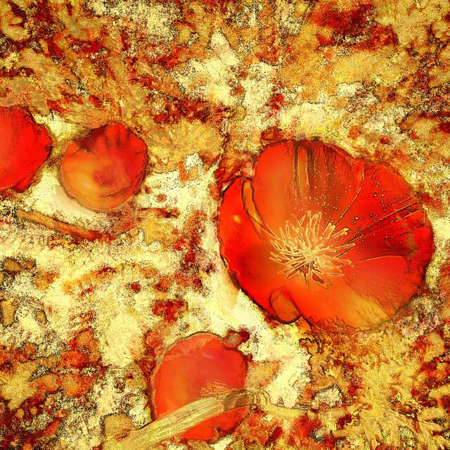 Authenticity: A Space to Bloom