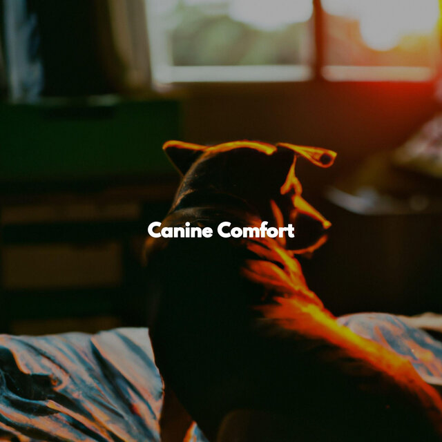 Canine Comfort