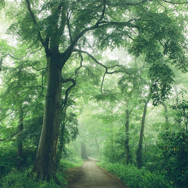 Cover art for album  by Belief?