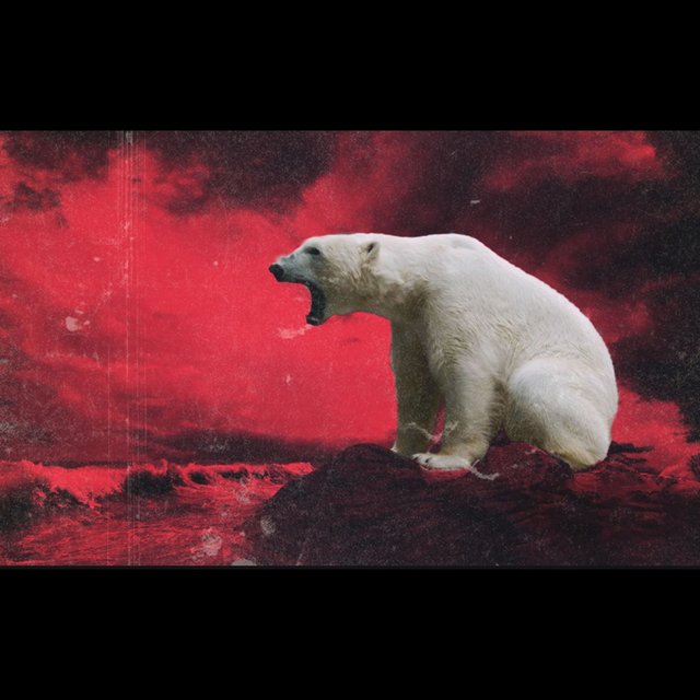 Polar Bear