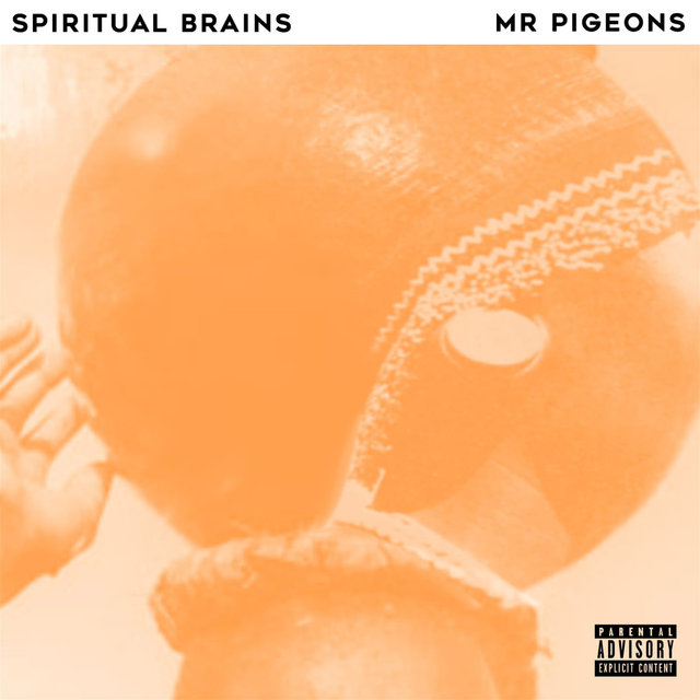 Spiritual Brains