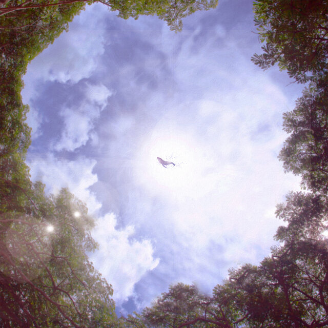 The Noise Of Dream Pt. 1