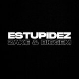 Estupidez