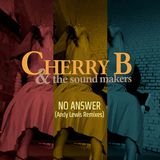 No Answer (Andy Lewis Vocal Mix)