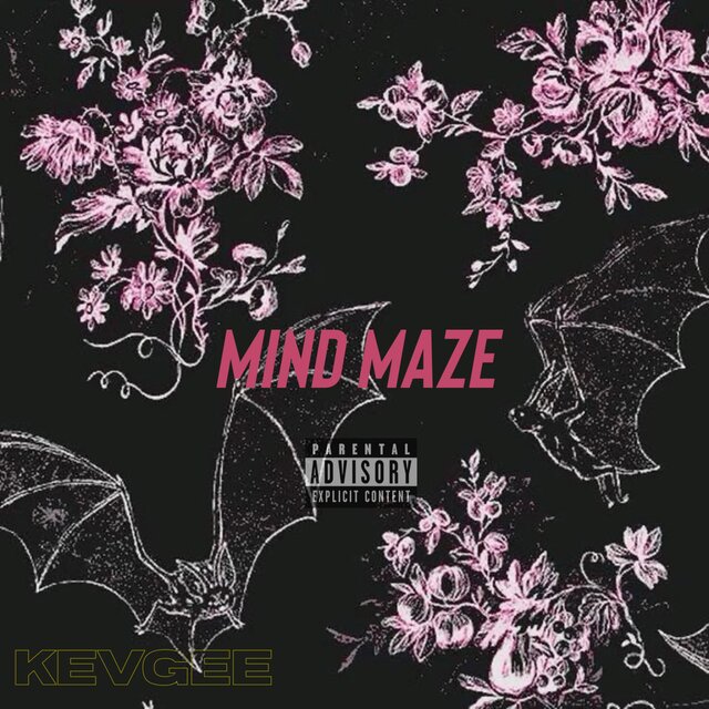 Mind maze