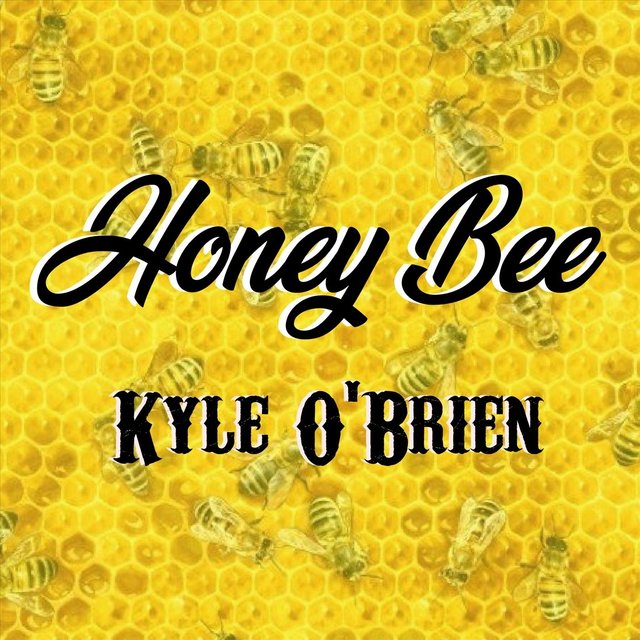 Honey Bee