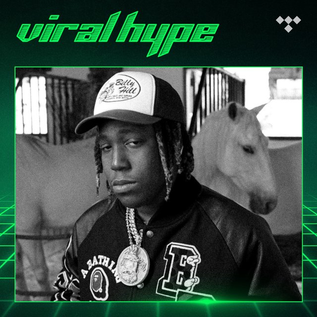 Cover art for album Viral Hype by TIDAL