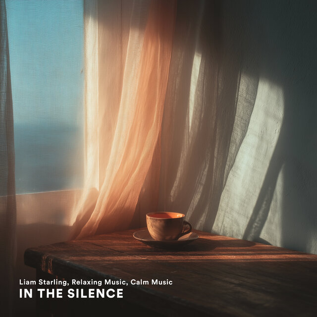 In the Silence