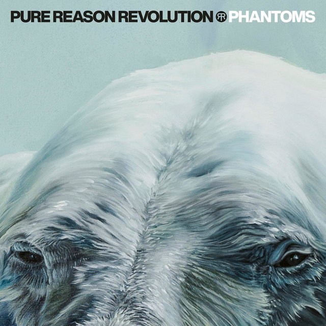 Phantoms