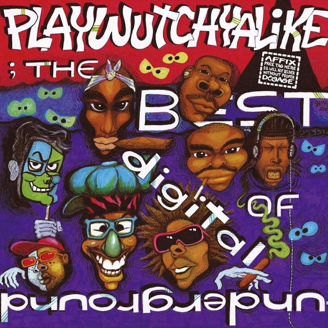 The Best Of Digital Underground: Playwutchyalike