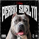Perro suelto