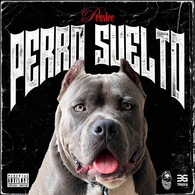 Perro suelto