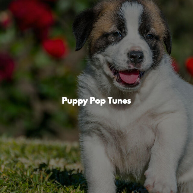 Puppy Pop Tunes