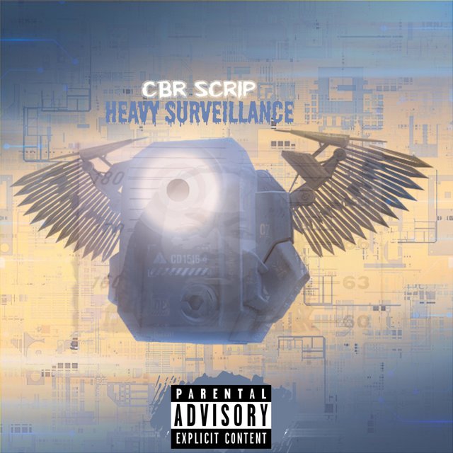 Heavy Surveillance