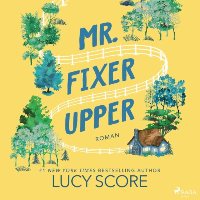 Mr. Fixer Upper