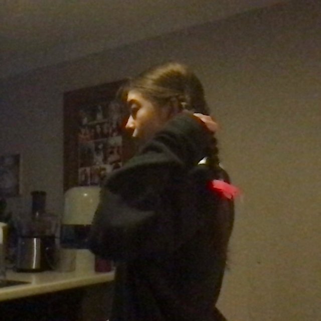 bug