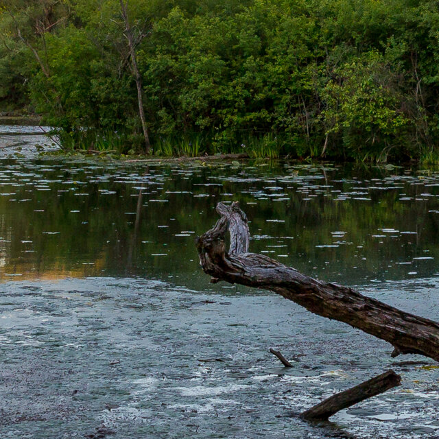 River Bet