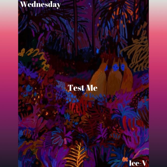 TEST ME (feat. Ice-V)