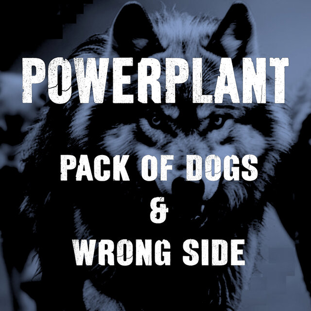 Pack of Dogs and Wrong Side