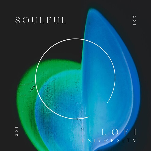 Soulful Lofi 203