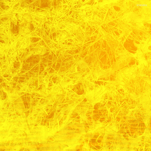 Neural Network