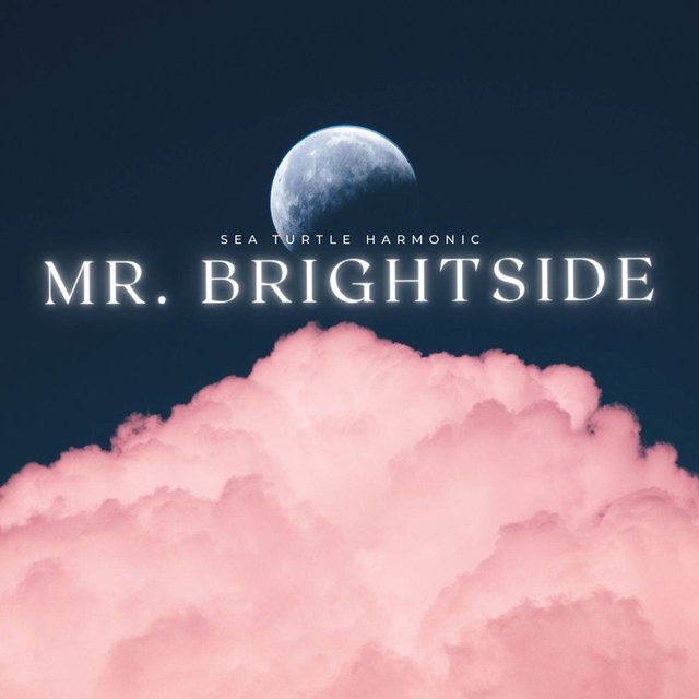 Mr. Brightside