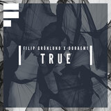 True (Extended Mix)