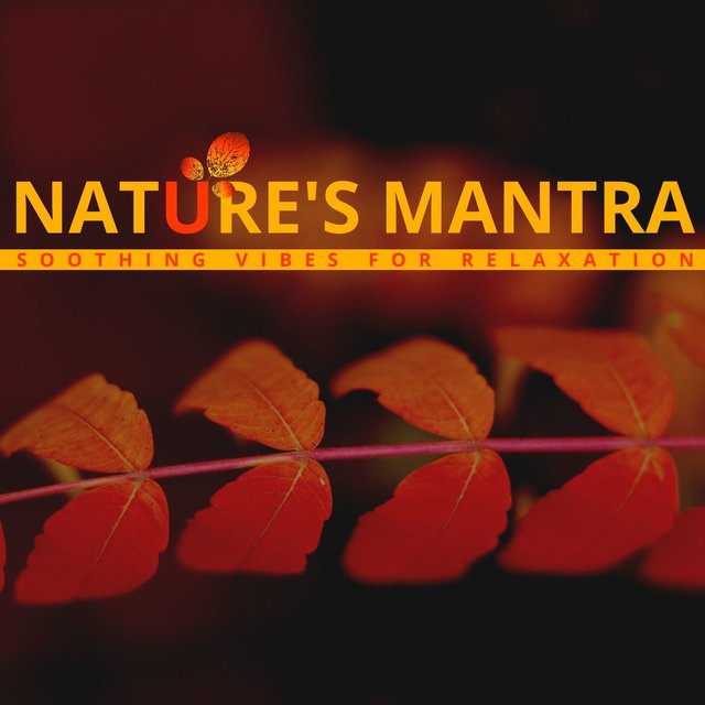 Nature's Mantra - Soothing Vibes for Relaxation