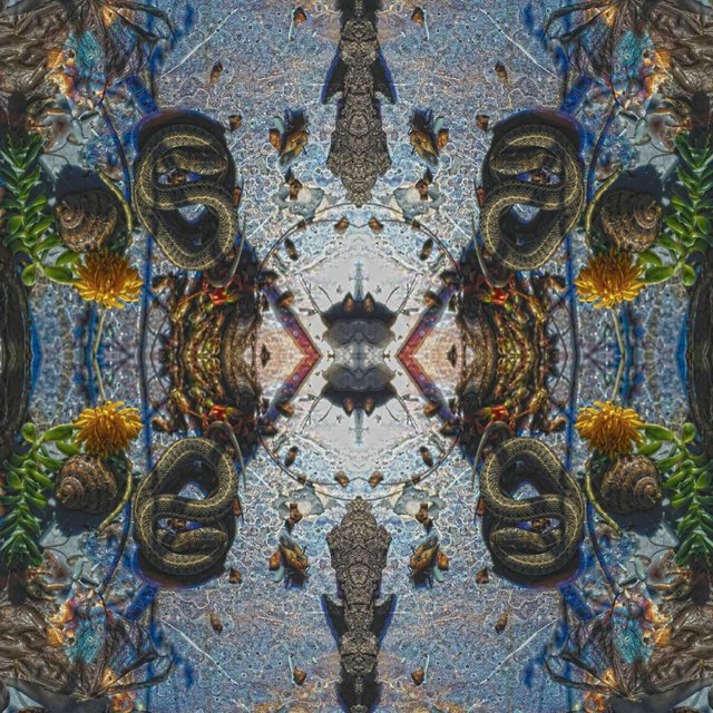 Puerta 9
