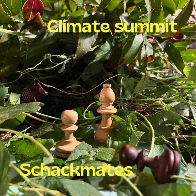 Suomalainen Sisu