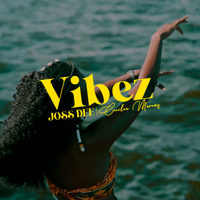 Vibez
