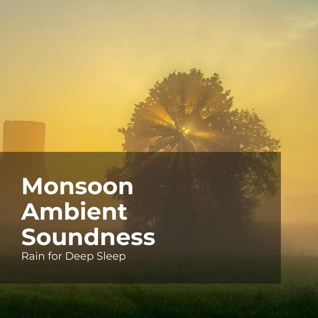Monsoon Ambient Soundness