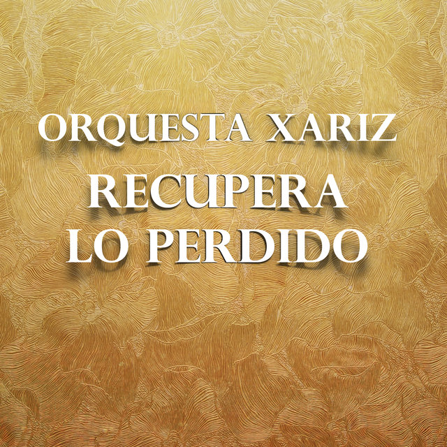 Recupera Lo Perdido