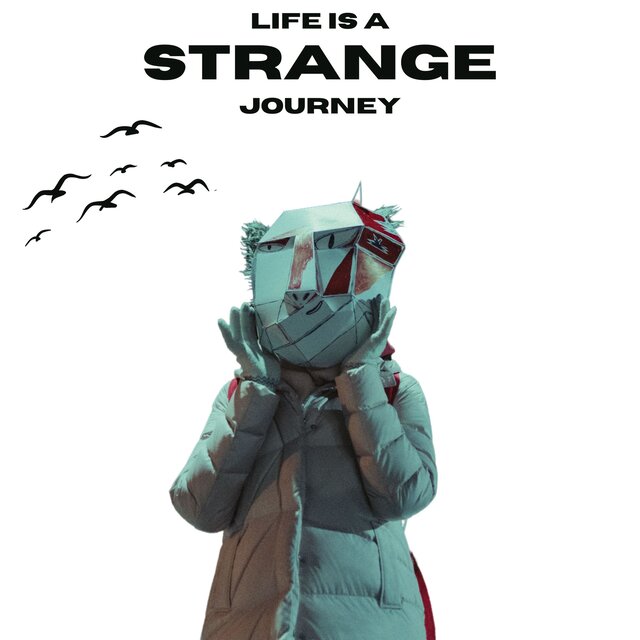 Life Is a Strange Journey