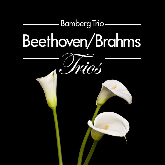 Beethoven/Brahms: Trios