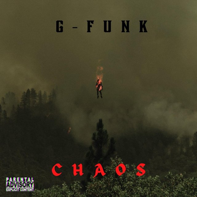 Chaos