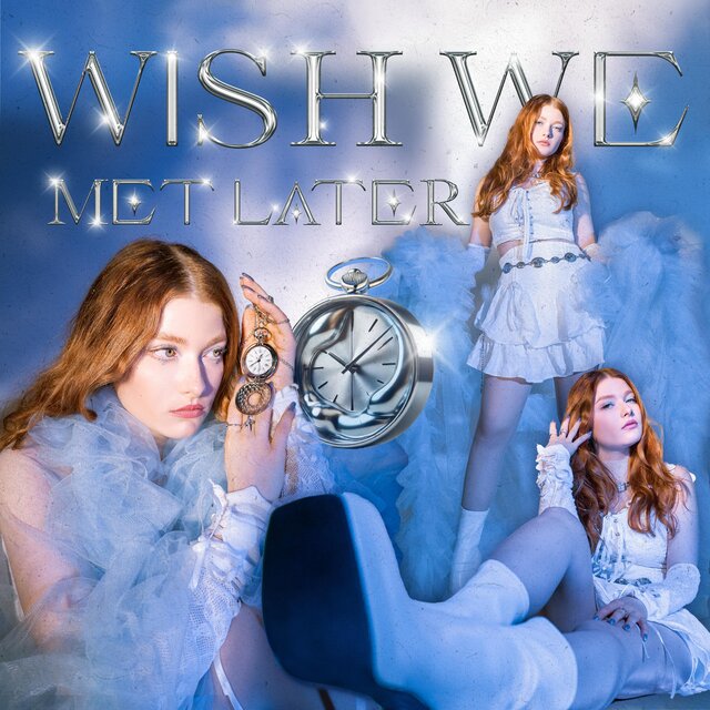 Wish We Met Later