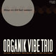 Cover art for album Things We Did Last Summer by Organik Vibe Trio