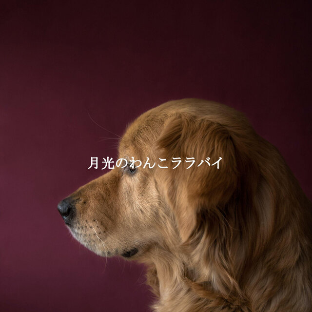 月光のわんこララバイ