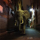 Cover art for album D'zzzz by Misty Conditions