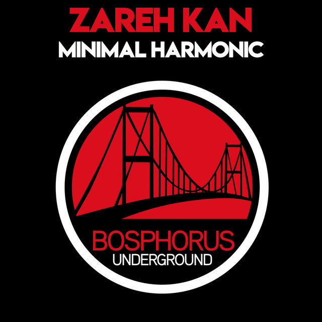 Minimal Harmonic