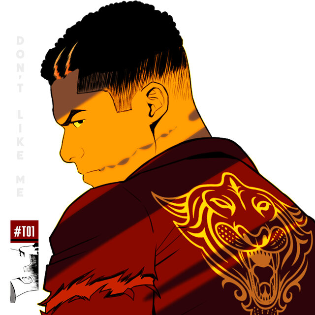 #T01 Don't Like Me