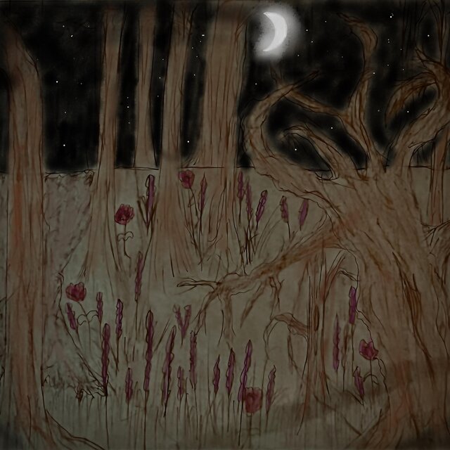 Sleepless Nights