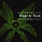 EAGLE EYE